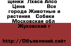 щенки  Лхаса Апсо › Цена ­ 20 000 - Все города Животные и растения » Собаки   . Московская обл.,Жуковский г.